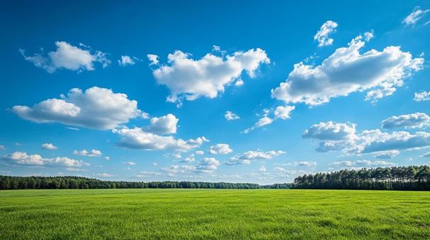 雲が浮かぶ草原の空 雲が浮かぶ草原の空の写真