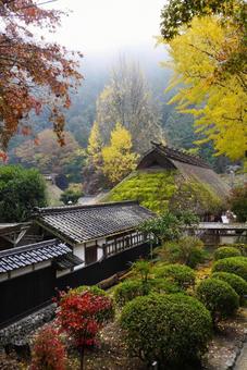 秋の香嵐渓三州足助屋敷 秋の香嵐渓三州足助屋敷 香嵐渓,三州足助屋敷,秋の写真素材