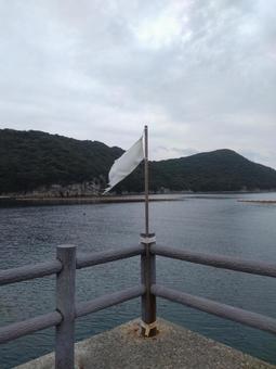 白旗 白旗の写真