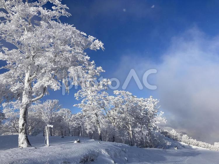 樹氷　雪山　冬山 樹氷,雪山,冬山の写真素材