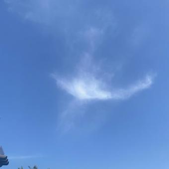 青空と雲 青空と雲の写真