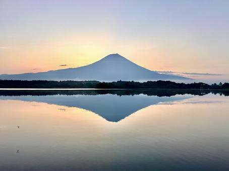 朝の田貫湖と富士山 朝の田貫湖と富士山 富士山,田貫湖,夜明けの写真素材