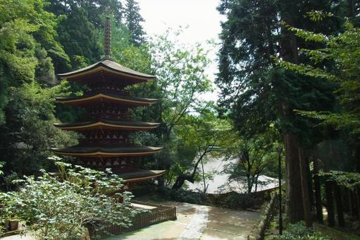 室生寺 五重塔 社寺 新緑 お寺 室生寺 五重塔 社寺 新緑 お寺の写真