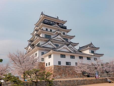 福山城 福山城 福山城,桜,4月の写真素材