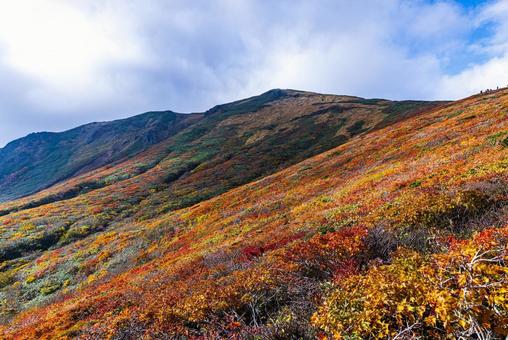 秋色に染まる 栗駒山の絶景 秋色に染まる 栗駒山の絶景の写真