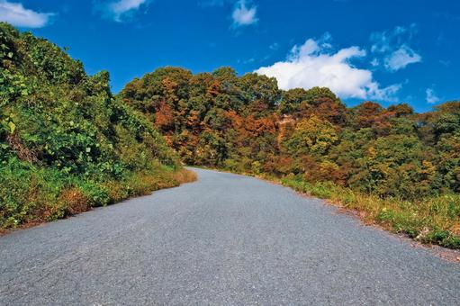 紅葉が始まった秋の気配を感じる山道 秋,風景,紅葉の写真素材
