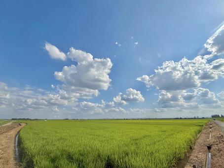 Photo, pastoral scenery, chui road, sky, 