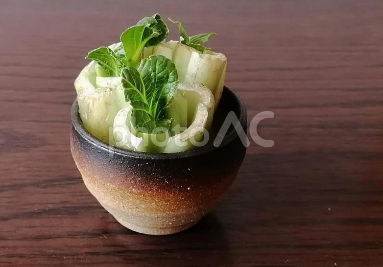 小松菜の根を水に挿しておくと再生できます 水耕栽培,小松菜,リボベジの写真素材