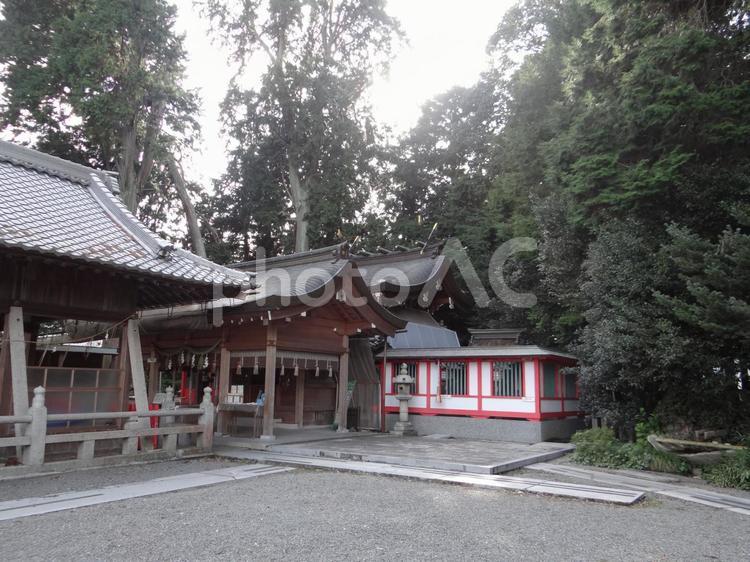 稗田の神社　境内 稗田野神社,境内,風景の写真素材