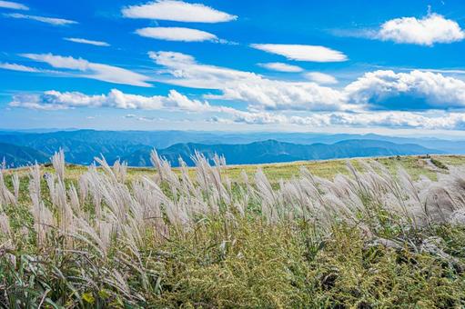 四国地方　四国カルスト台地の風景 カルスト台地,四国,四国地方の写真素材