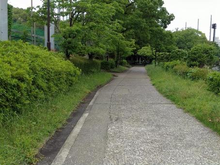 歩道 歩道の写真