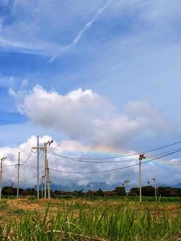 電線にかかる虹と上昇する飛行機雲 電線にかかる虹と上昇する飛行機雲 虹,飛行機雲,電線の写真素材