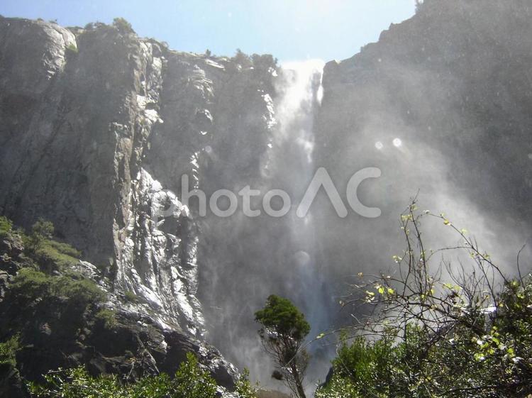 ヨセミテ国立公園 ヨセミテ国立公園,森,木の写真素材