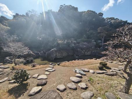石庭 石庭の写真