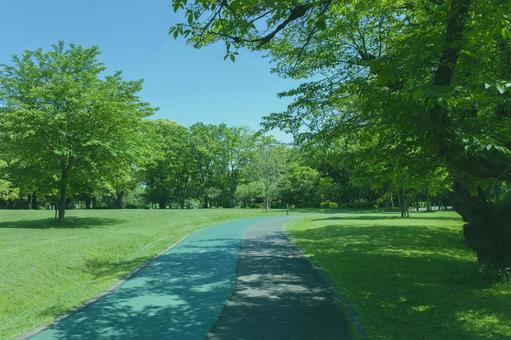 緑の公園　ランニングコース 公園,ランニング,マラソンの写真素材