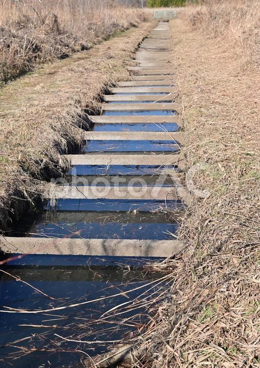 冬の用水路 イメージ,シーズン,マイナスイオンの写真素材