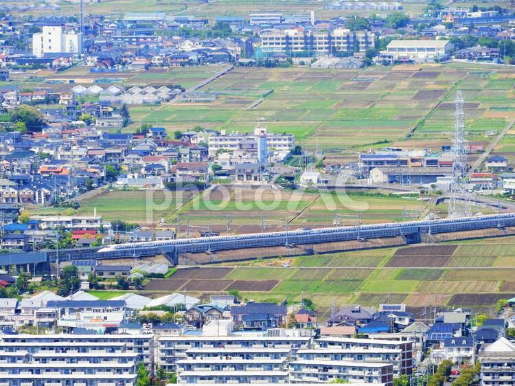 相模平野を駈ける東海道新幹線 東海道新幹線,新幹線,弾丸列車の写真素材