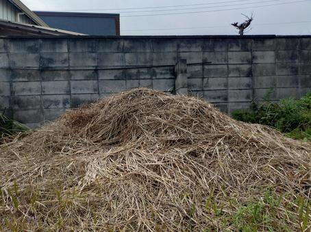 わらの山 草刈り,雑草,藁の写真素材