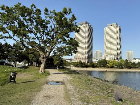 2025年春 昼間の東京お台場の風景 2025年春 昼間の東京お台場の風景 都心,さわやか,りんかい線の写真素材
