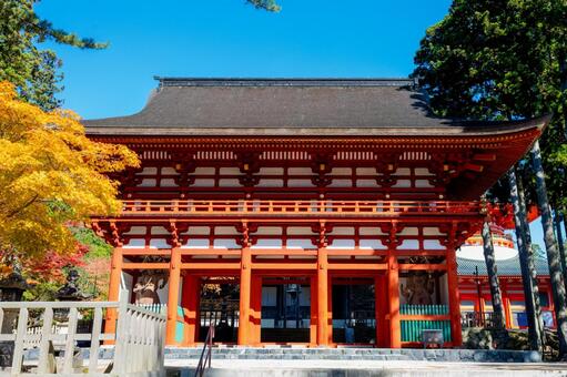 高野山　壇上伽藍　中門 高野山,壇上伽藍,中門の写真素材