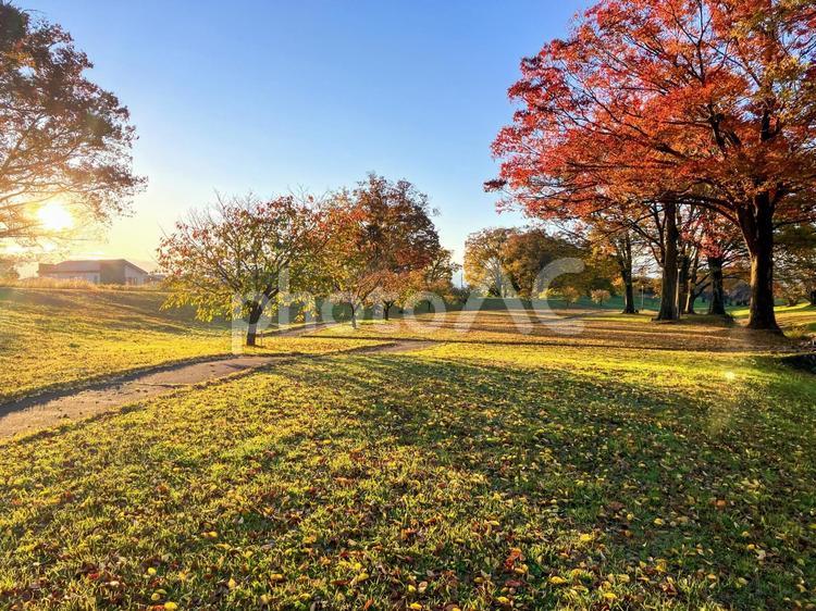 早朝の信玄堤公園 信玄堤公園,公園,釜無川の写真素材