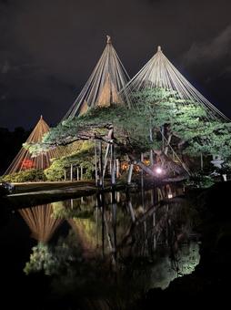 兼六園の紅葉 兼六園の紅葉 兼六園,紅葉,金沢の写真素材