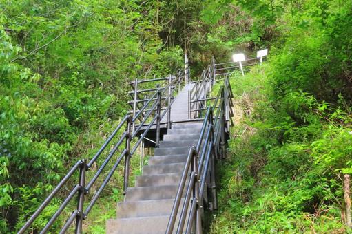 【高知県】にこ淵へと続く階段 【高知県】にこ淵へと続く階段 にこ淵,滝,滝壺の写真素材