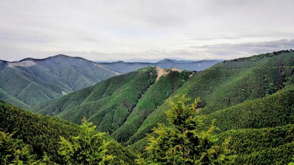 高野山から望む山々 高野山から望む山々の写真