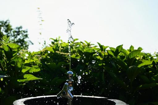 喉を潤す、水滴のきらめき 喉を潤す、水滴のきらめき 水飲み場,公園,水の写真素材