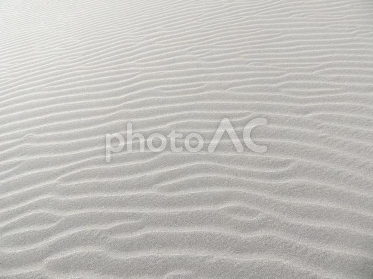 砂浜の風紋 風紋,砂浜,砂の写真素材