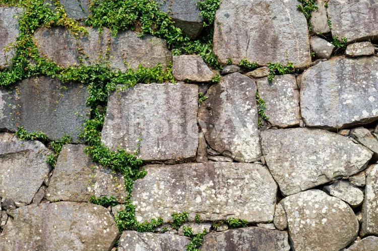 草の生えた石垣 石垣,岩,草の写真素材
