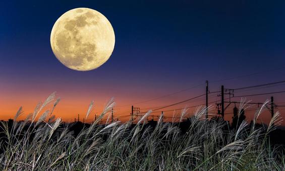Autumn moon viewing image. Full moon, Japanese pampas grass and sunset sky, JPG