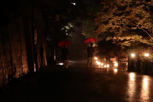 Photo, umbrella, people, rear view, 