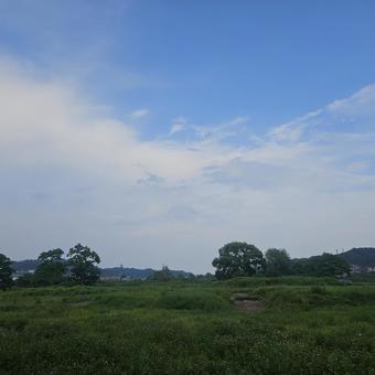 緑 緑の写真