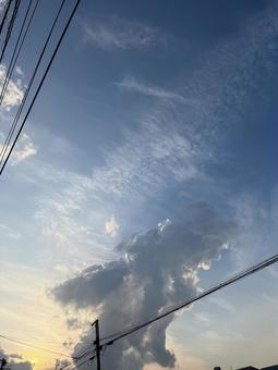夕方① 夕方①の写真