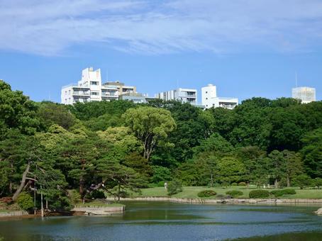 六義園 六義園の写真