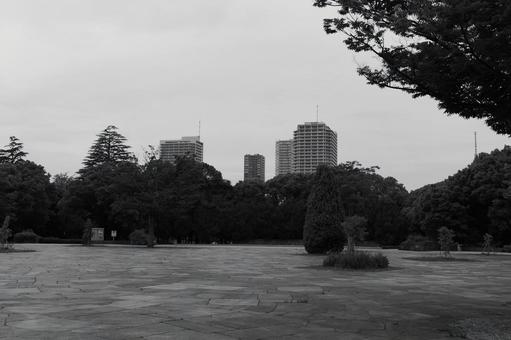 木場公園 モノクロ 木場公園 モノクロ 木場公園,公園,モノクロの写真素材