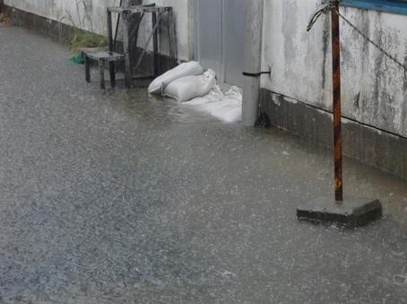急な大雨-5 大雨,水たまり,水面の写真素材