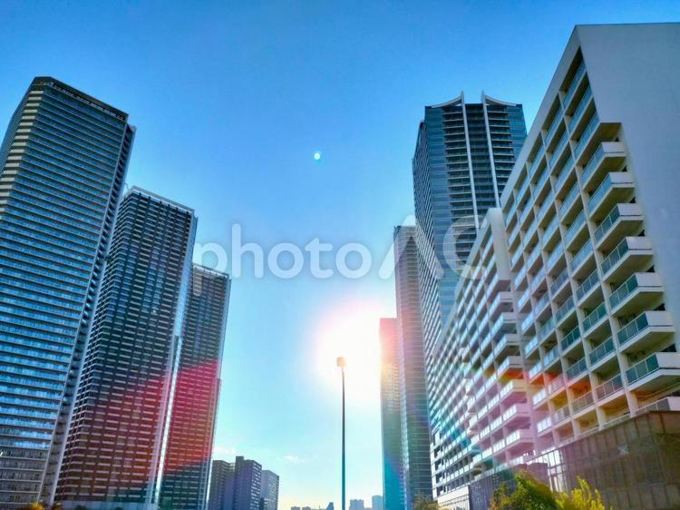 ビルの間から見える日差し 東京,ビル街,青空の写真素材