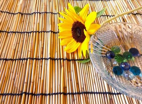 夏 ビー玉 ひまわり 簾 夏 ビー玉 ひまわり 簾 すだれ,夏,季節の写真素材