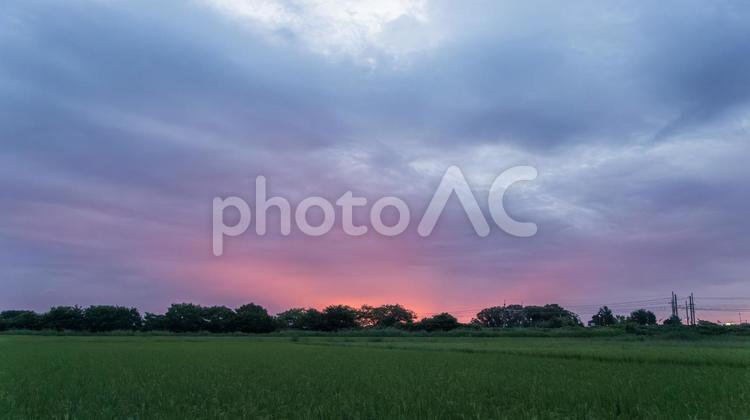 夏の曇りの日の朝焼け 朝焼け,空,朝の写真素材