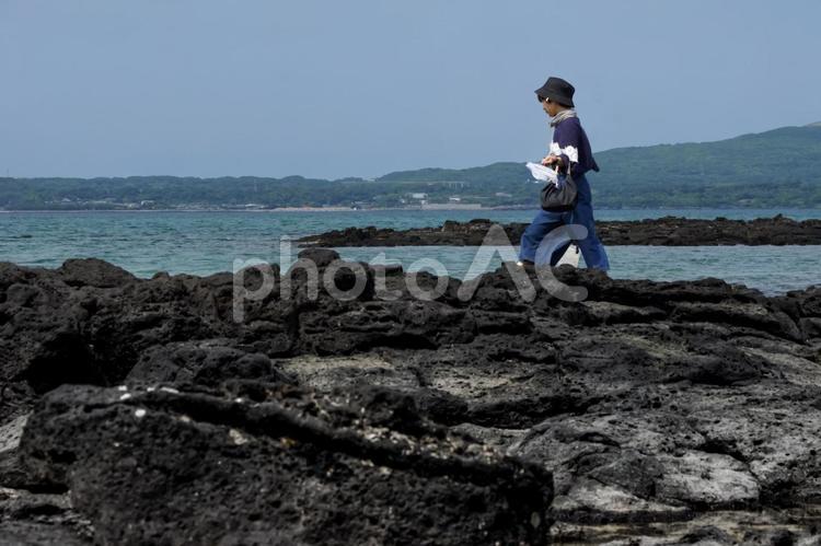 R素材＞磯でガサガサ（小魚捕獲）する女性 女性,磯遊び,海遊びの写真素材