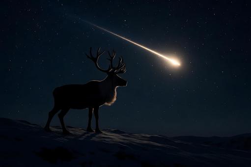 流星とトナカイ 流星とトナカイの写真