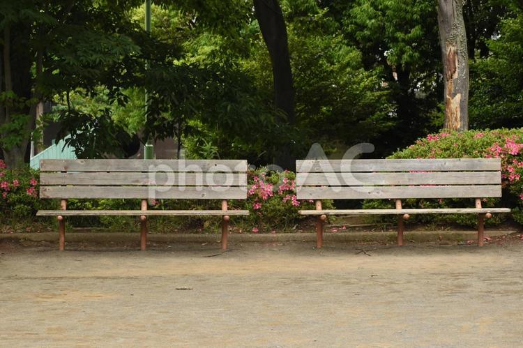 小満過ぎの曇った朝の公園のベンチ イス,長椅子,公園施設の写真素材