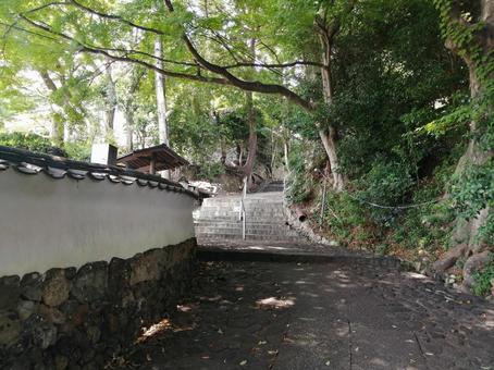 大廣寺 参道 大廣寺 参道 大廣寺,参道,境内の写真素材
