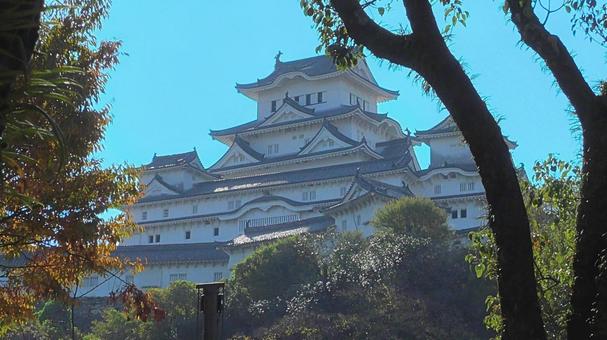 姫路城 北側 姫路城,白鷺城,白壁の写真素材