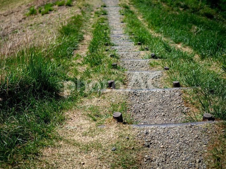 古墳に続く芝生と階段 弘法山古墳,古墳,小道の写真素材