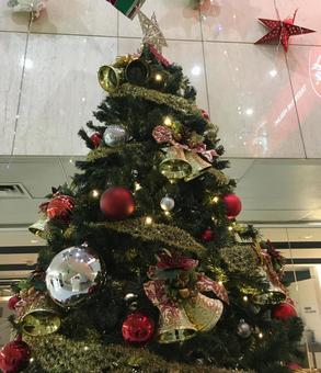 クリスマスツリー クリスマスツリー の写真