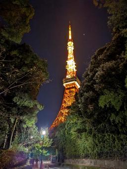 東京タワー 夜景,ライトアップ,japanの写真素材