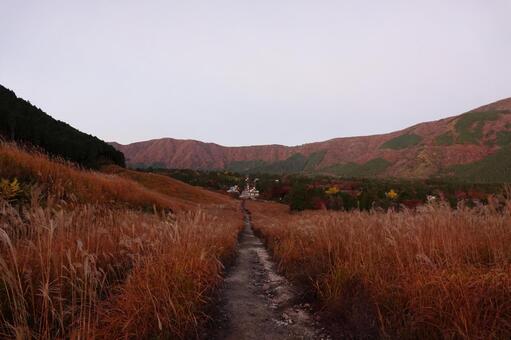 誰もいないすすき野原 風景,秋色,すすきの写真素材